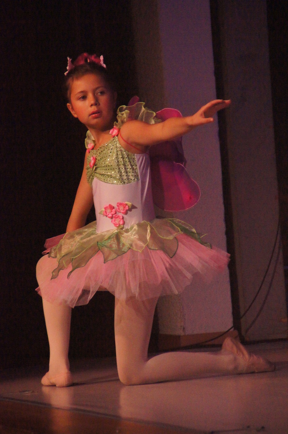 SONY DSC